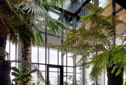 Gardening / Landscaping